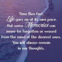 167c4a03d63ccb79dcd6a9ecc56208f4 