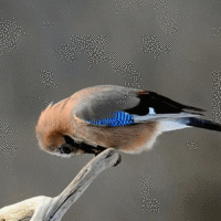 2a59b647c1e1467bd14ed9d48da329b8 