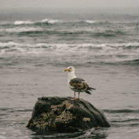 5e6eaad6222438443776dcf5dc581daa 