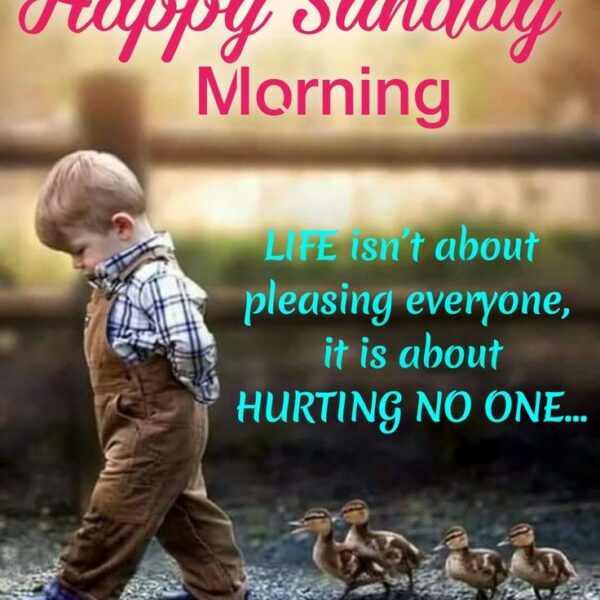 751a1c4ede5bfcf5e805c5551539234d