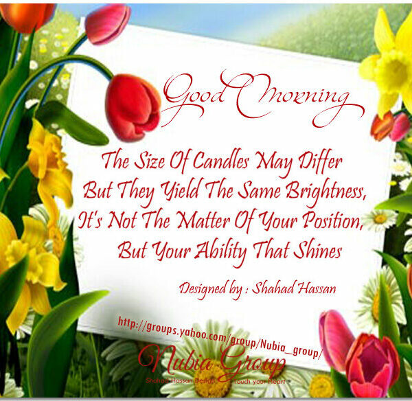 nubia_group_shahad003
