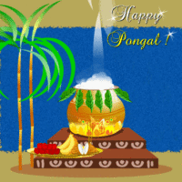 pongal4 